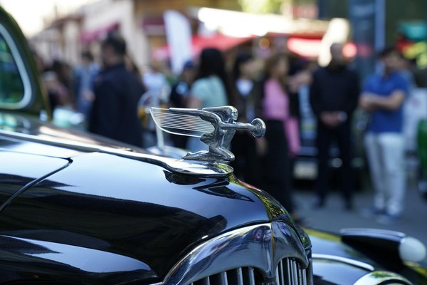 Trouvez l'étui violon idéal : protection et style réunis